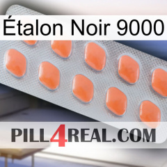 Étalon Noir 9000 26